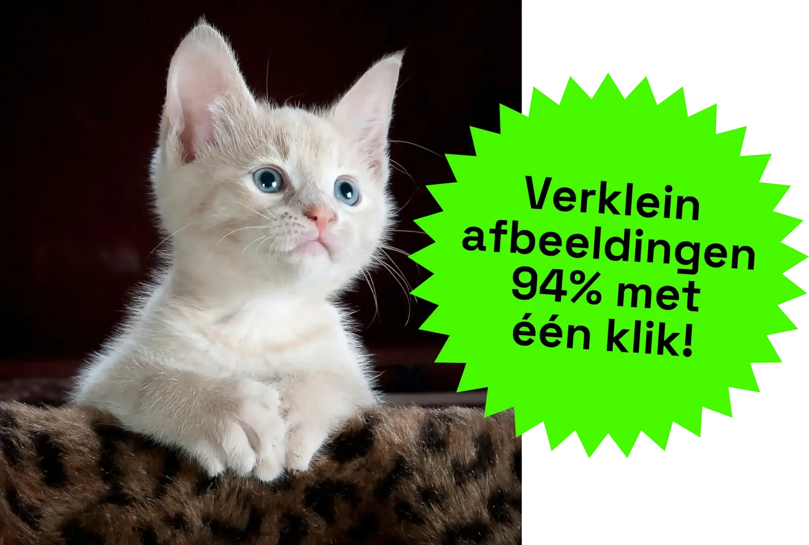 afbeelding van Carbonfooter opt with domain